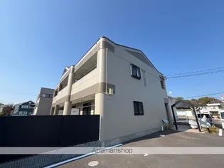 サニー スポットの画像