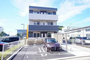 モンステラの画像