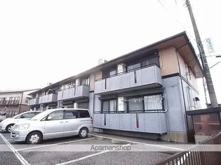 ハイカムール並木の画像