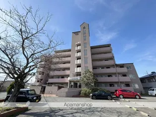 セルサス和泉の画像