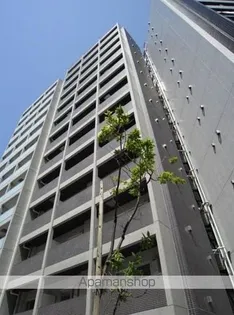 スパシエアルテシモベッタの画像