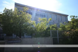 レオネクストコッリーナみなみ野【1階】の周辺