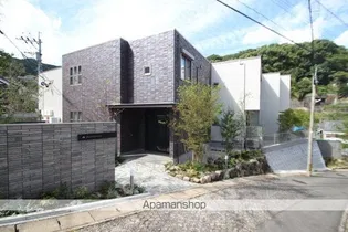 ALSTROMERIAの画像