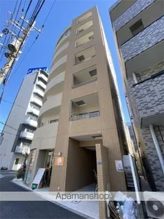 セトルオクサワの画像