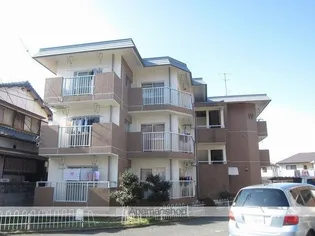 パソナⅦの画像