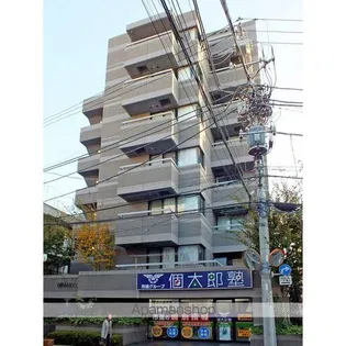 グランソロの画像
