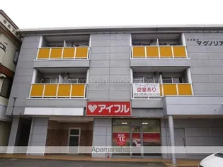 ハイネスマグノリアの画像