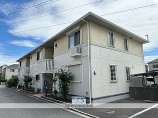 ブルームの画像