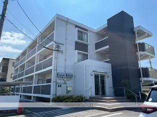 BOA SORTE KAZUの画像