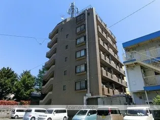 ワイズ若竹の画像