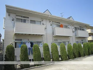 サンビラーゼの画像