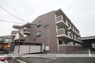 あすなろの画像