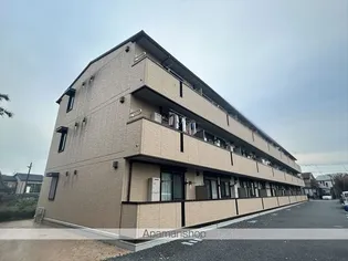 アンドミーワの画像