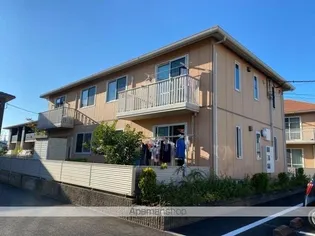 オレンジホップの画像