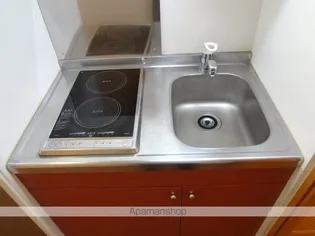 レオパレス龍ノ口【201号室】のキッチン