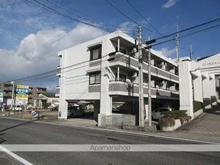 ドエル白土の画像