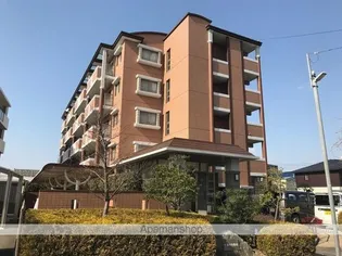 アルバ空港東の画像