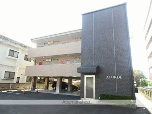 ACORDEの画像