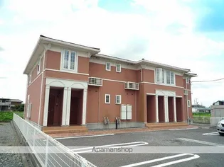 スプリング フラワーの画像