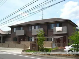 トレジャーシャインの画像