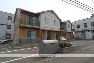 シューラーの画像