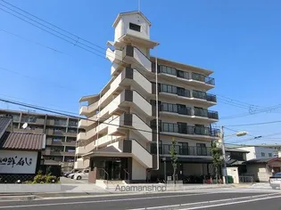 グレース園田の画像