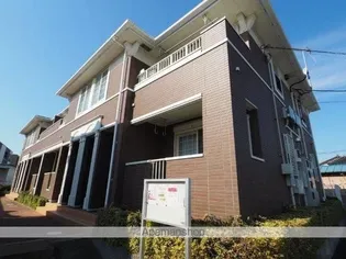 プラシードの画像