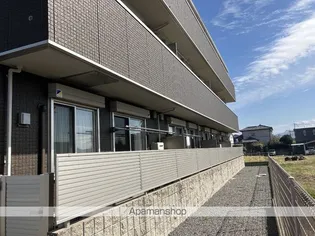 サンフラワー須屋の画像