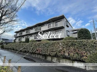 サニーハウス松風【3階】の外観