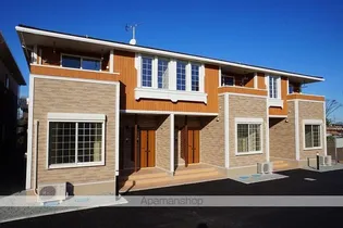 ハナミヅキ Aの画像