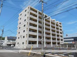 セルシスの画像