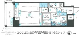 ZOOM西新宿【8階】の間取り