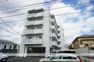 シティ オーガの画像