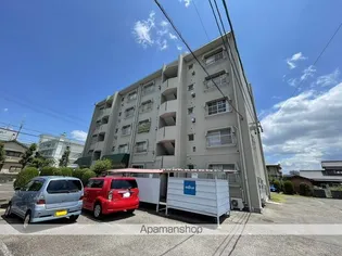 太田ハイムの画像