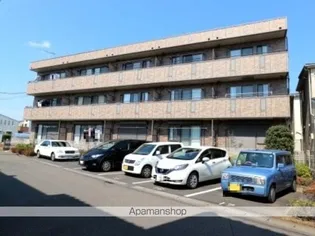 プレミエ ステラの画像