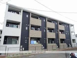 パーム ツリー IIの画像