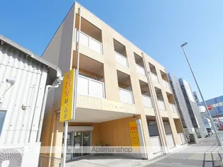 アンプルールフェール槙の画像