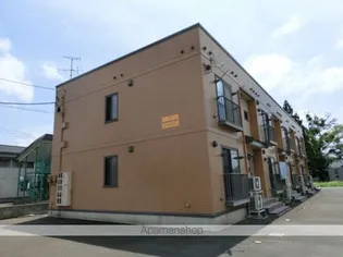 パーシモンツリーの画像