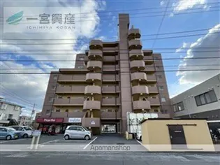 Sキャメリアの画像