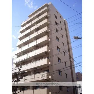 トレフルコートの画像