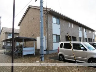 SWEET BOA Aの画像