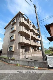 センチュリー秋桜の画像