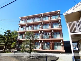 となりの花きゃべつの画像