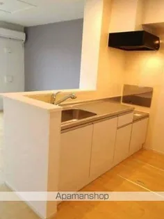 パーク アクシスオスト B【1階】のキッチン