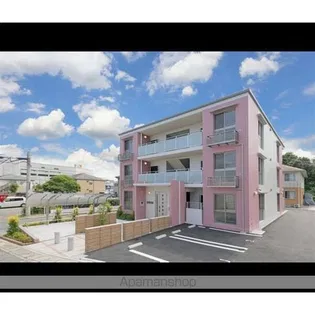 ステラ古野の画像