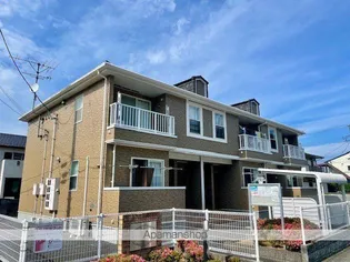 イリーデ ヴィオラの画像