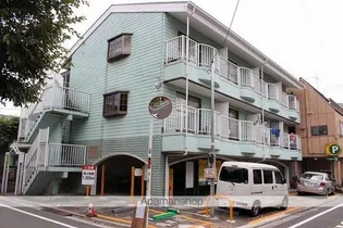プリムローズの画像