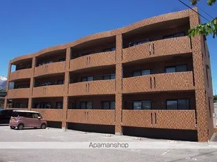 マハロマツイの画像