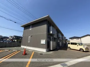未来樹の画像