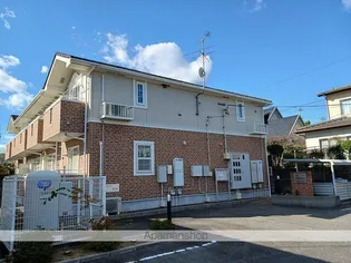 マルコリーニの画像